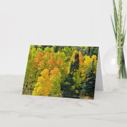 コロラド《植物》アスペングローブ カード (正面)