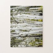 コロラド《植物》アスペンツリー写真，写真ジグソーパズル ジグソーパズル (縦)