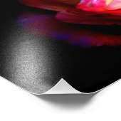 コロリブリランティ フォトプリント            (角)