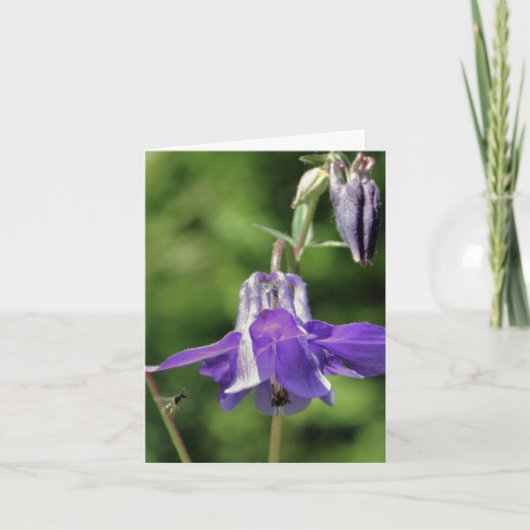 コロンバインとミツバチの花の写真 ノートカード (正面)