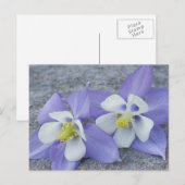 コロンバインの花 ポストカード (正面/裏面)