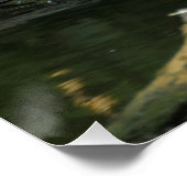 コロンバ・パルムバス ポスター (コーナー)