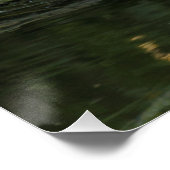 コロンバ・パルムバス ポスター (コーナー)