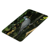 コロンバ・パルムバス マグネット (左側)