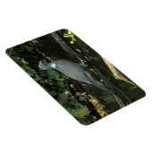 コロンバ・パルムバス マグネット (右側)