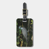 コロンバ・パルムバス ラゲッジタグ (正面縦)