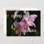 コロンビアのカトレヤオーキッドポストカードの色 ポストカード (正面/裏面)