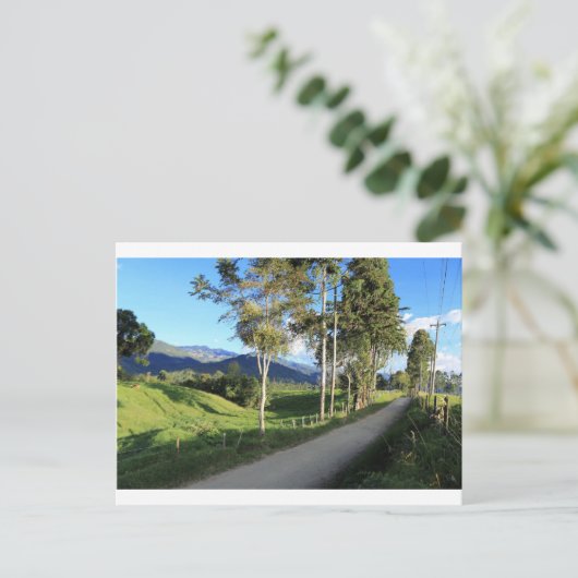 コロンビアのサレントの美しい地方の道 ポストカード (スタンド正面)
