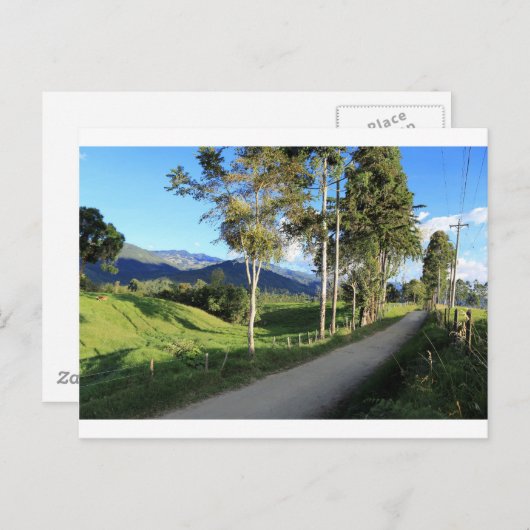 コロンビアのサレントの美しい地方の道 ポストカード (正面/裏面)
