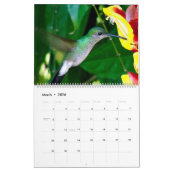 コロンビアのハチドリ カレンダー (3月 2026)