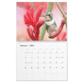 コロンビアのハチドリ カレンダー (2月 2026)