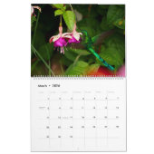 コロンビアのハチドリ カレンダー (3月 2026)