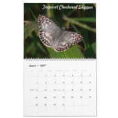 コロンビアの熱帯バテフライ カレンダー (3月 2027)