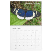 コロンビアの熱帯バテフライ カレンダー (1月 2027)