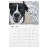 コロンビアの犬のスポーツの一般的な2010匹の犬のカレンダー カレンダー (3月 2027)