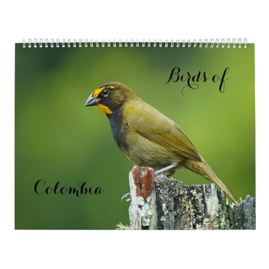 コロンビアの鳥 カレンダー (カバー)