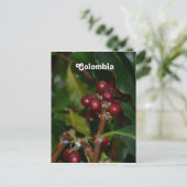 コロンビアコーヒー豆 ポストカード (スタンド正面)