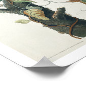 コロンビアジェイ(Columbia Jay by Audubon Poster) ポスター (角)