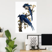 コロンビアジェイ | John James Audubon ポスター (ホームオフィス)