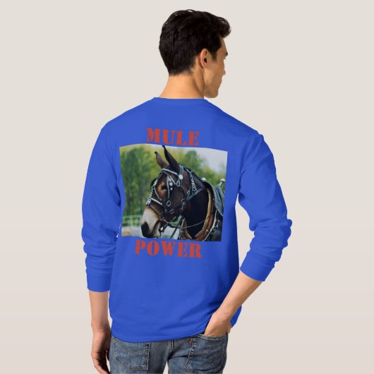 コロンビアテネシー州のラバの日 Tシャツ (裏面フル)