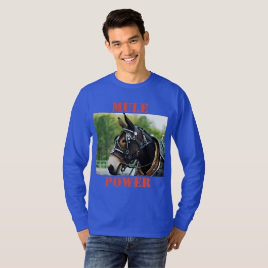 コロンビアテネシー州のラバの日 Tシャツ (正面フル)