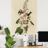 コロンビアハミングバード ポスター (ホームオフィス)