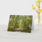 コロンビアメリーランドのキタマカンディ湖トレイル カード (黄色い花)