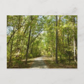 コロンビアメリーランドのキタマカンディ湖トレイル ポストカード (正面)