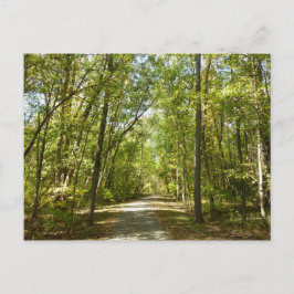コロンビアメリーランドのキタマカンディ湖トレイル ポストカード