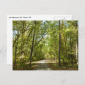 コロンビアメリーランドのキタマカンディ湖トレイル ポストカード (正面/裏面)