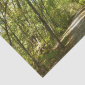 コロンビアメリーランドのキタマカンディ湖トレイル 薄葉紙 (詳細)