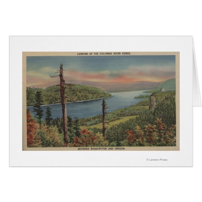 コロンビアリバーゲージ (正面横)