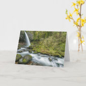 コロンビアリバーゴージェポニテール秋 カード (黄色い花)