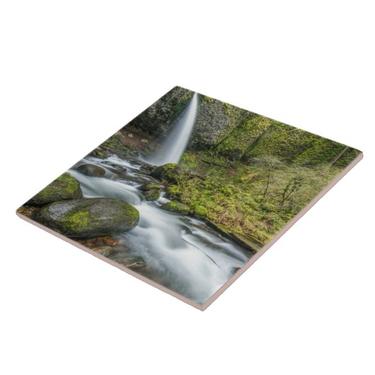 コロンビアリバーゴージェポニテール秋 タイル (側面)