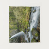 コロンビアリバーゴージェポニテール秋 タペストリー (正面)