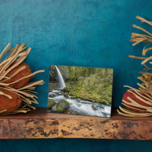 コロンビアリバーゴージェポニテール秋 フォトプラーク (側面)