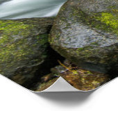 コロンビアリバーゴージェポニテール秋 ポスター (角)