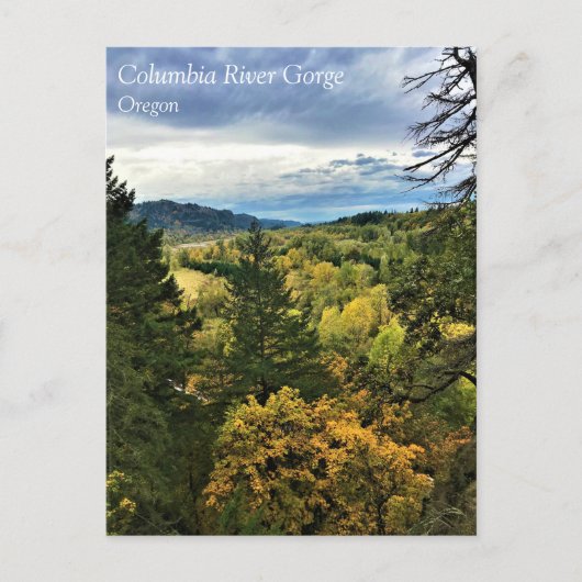 コロンビアリバー峡谷、オレゴンはがき ポストカード (正面)