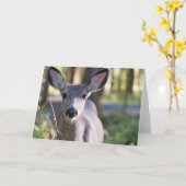 コロンビアンブラックテールドゥ |ワシントン州 カード (黄色い花)