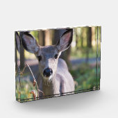 コロンビアンブラックテールドゥ |ワシントン州 フォトブロック (左)