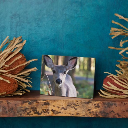 コロンビアンブラックテールドゥ |ワシントン州 フォトプラーク (側面)