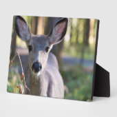 コロンビアンブラックテールドゥ |ワシントン州 フォトプラーク (側面)