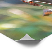 コロンビアンブラックテールドゥ |ワシントン州 ポスター (角)