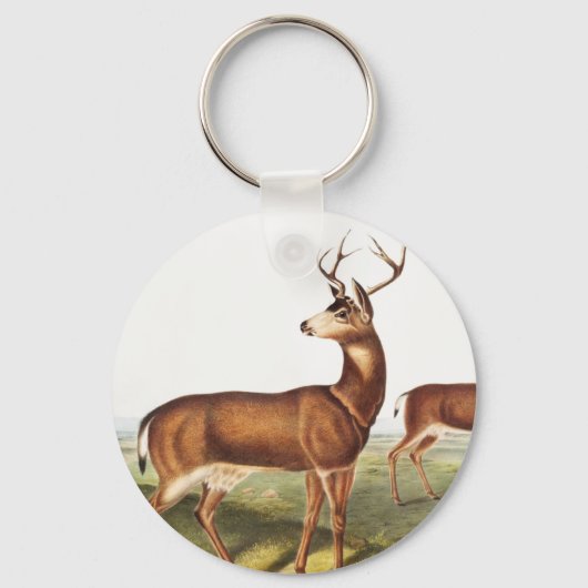 コロンビアンブラックテール鹿(Cervus Richardsonii) キーホルダー (正面)