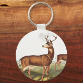 コロンビアンブラックテール鹿(Cervus Richardsonii) キーホルダー (正面)