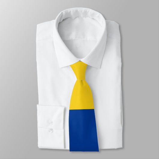 コロンビア国旗のネックタイ ネクタイ (タイ)