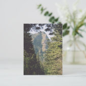 コロンビア川の峡谷 ポストカード (スタンド正面)