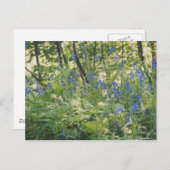 コロンビア川の峡谷 ポストカード (正面/裏面)