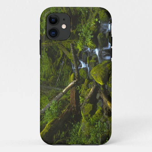 コロンビア川の温帯雨林の小川 Case-Mate iPhoneケース (裏面)