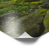 コロンビア川の温帯雨林ストリーム フォトプリント            (角)